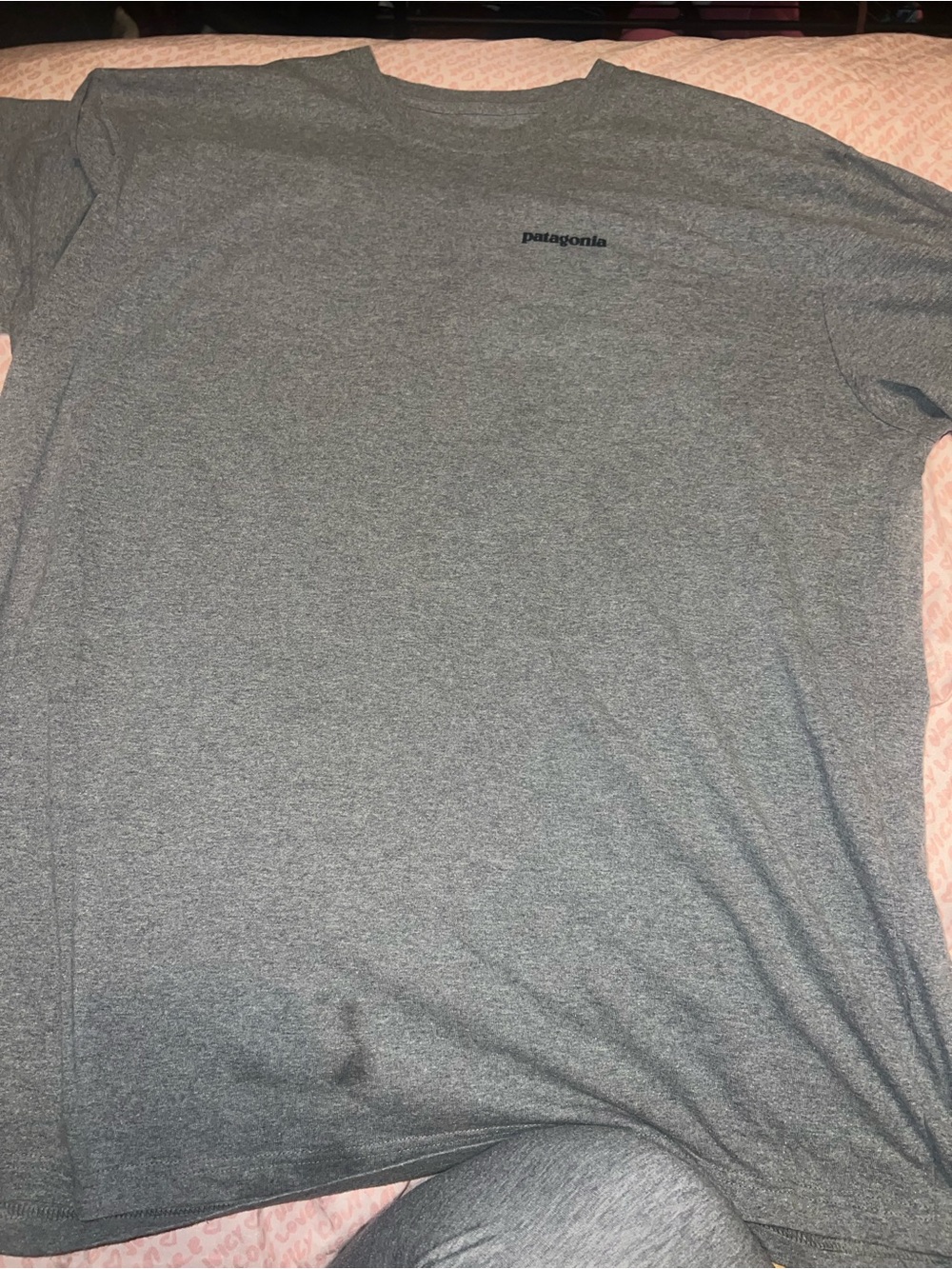 Patagonia men’s short sleeve tshirt size XXL